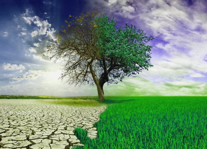 conservacion-ambiental