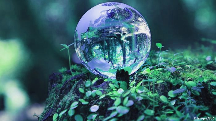 noticias-del-medio-ambiente
